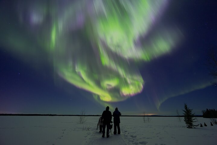 Small Group Northern Lights Tours In Interior Alaska From Fairbanks - Photo 1 of 21